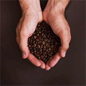 a cup of coffe shop